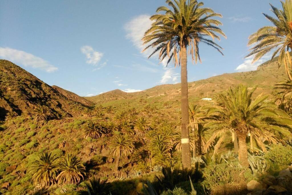 فيلا Casa Sol Y Montana Alojera المظهر الخارجي الصورة